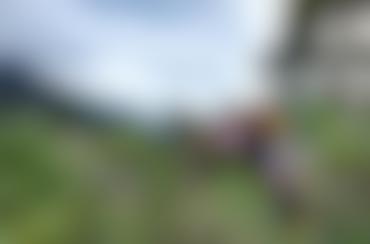 Win-Win Dairy Solutions