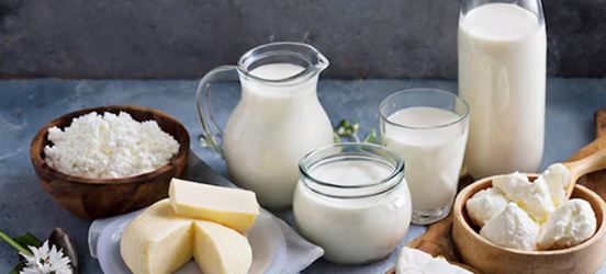 Fresh & Fermented Dairy & Desserts Products